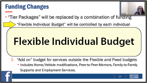 Flexible Individual Budget